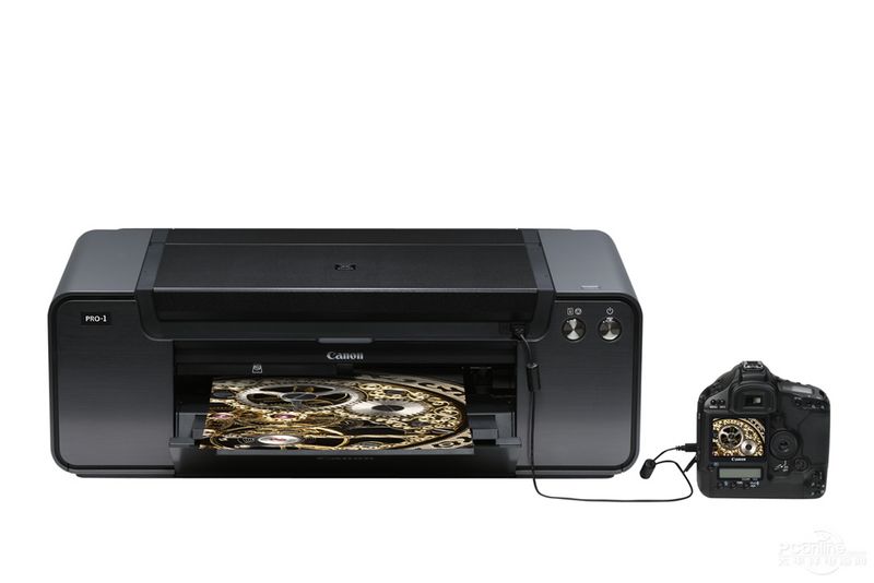 文件:佳能-PRO-1-4.jpg